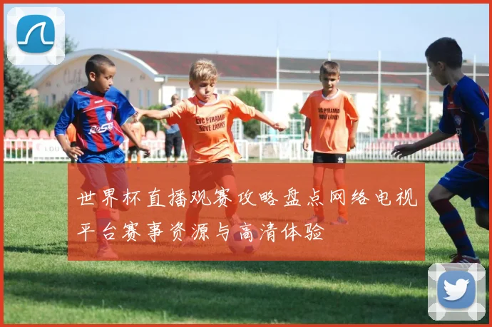 世界杯直播观赛攻略盘点网络电视平台赛事资源与高清体验
