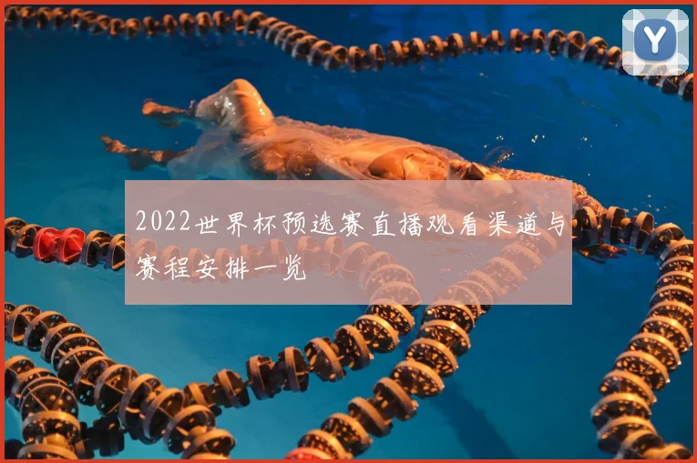 2022世界杯预选赛直播观看渠道与赛程安排一览